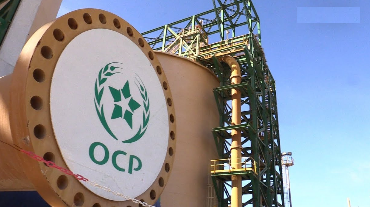 (OCP) تحسن رقم معاملاتها بنسبة 15% خلال النصف الأول من 2024
