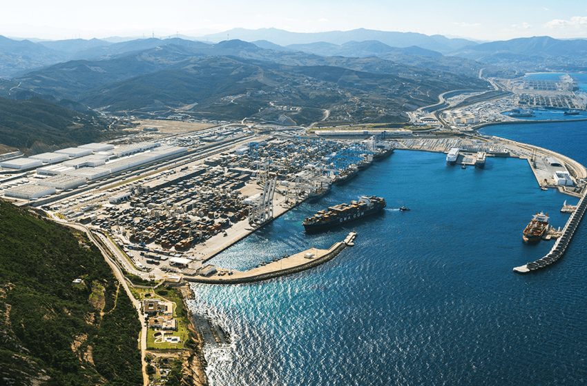 تراجع مفرغات الصيد بميناء طنجة رغم تحسن القيمة المالية