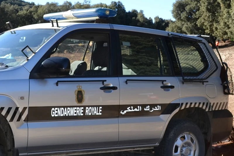 درك بني ملال يُفكك شبكة غش زيت الزيتون ويضبط 9 أطنان درك بني ملال يُفكك شبكة غش زيت الزيتون ويضبط 9 أطنان