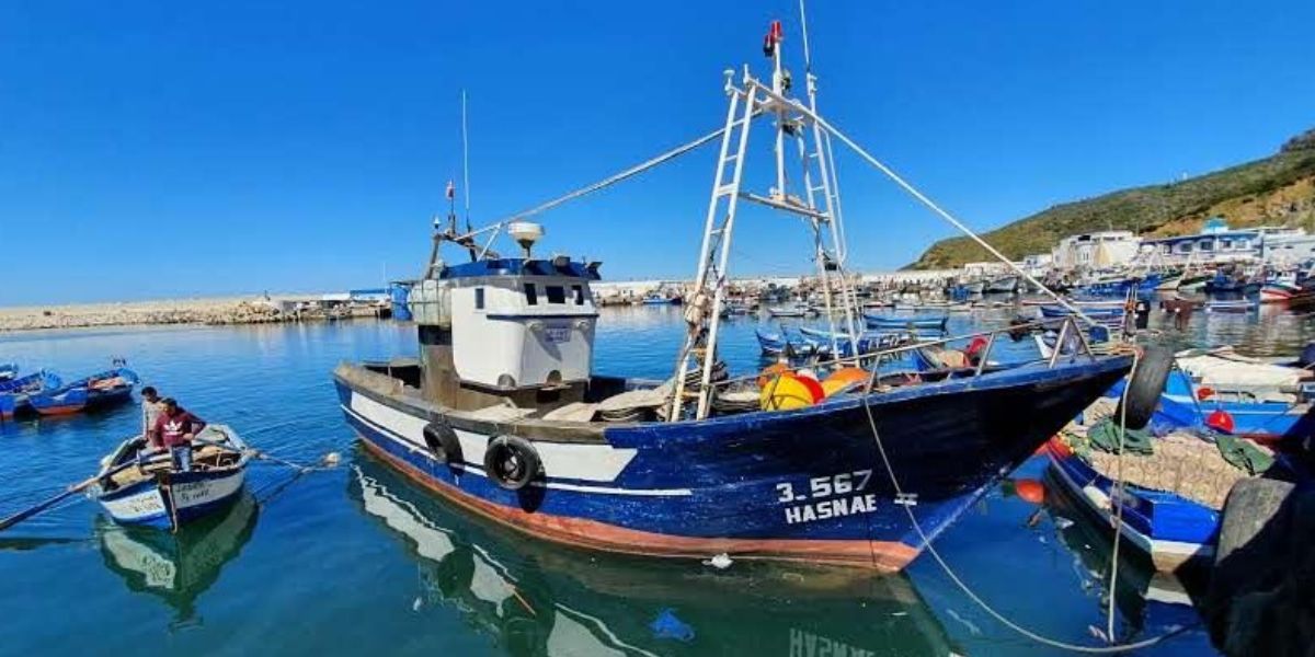 خلال يناير الفارط.. تراجع مفرغات الصيد البحري بميناء طنجة