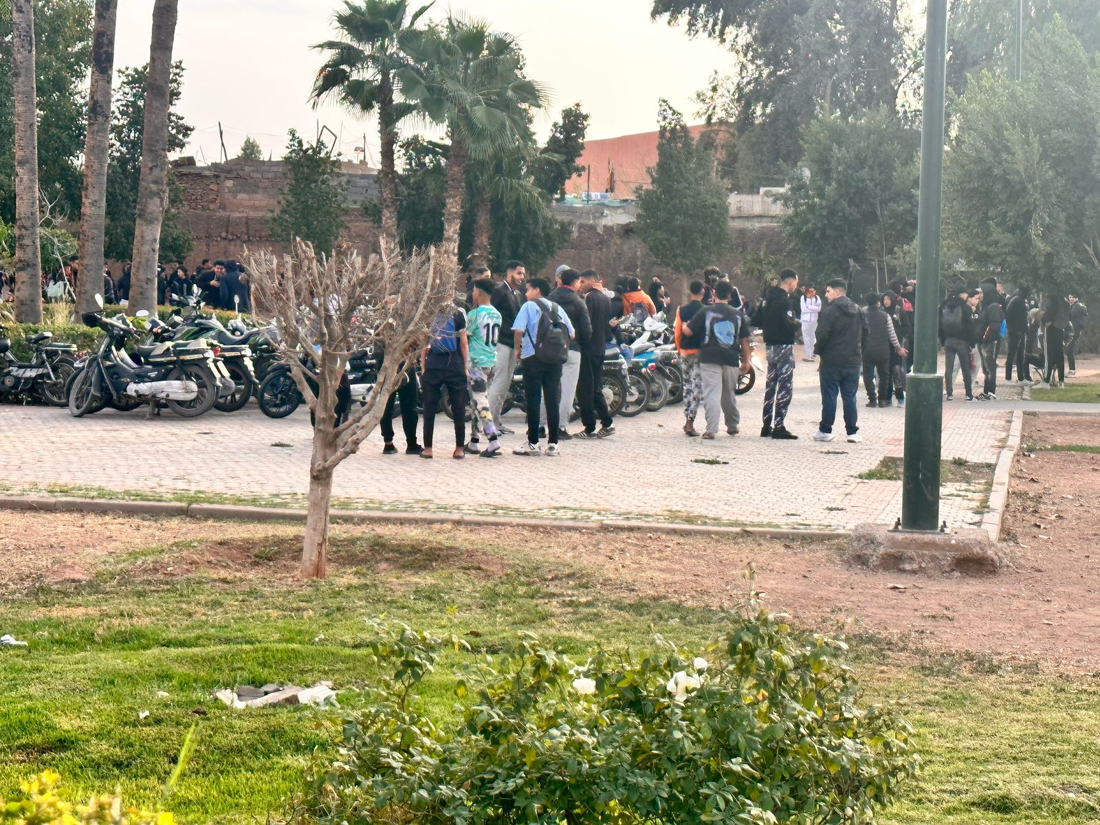 بالصور.. اجتماع لجماهير الكوكب المراكشي بحديقة الحي الحسني يستنفر الاجهزة الأمنية