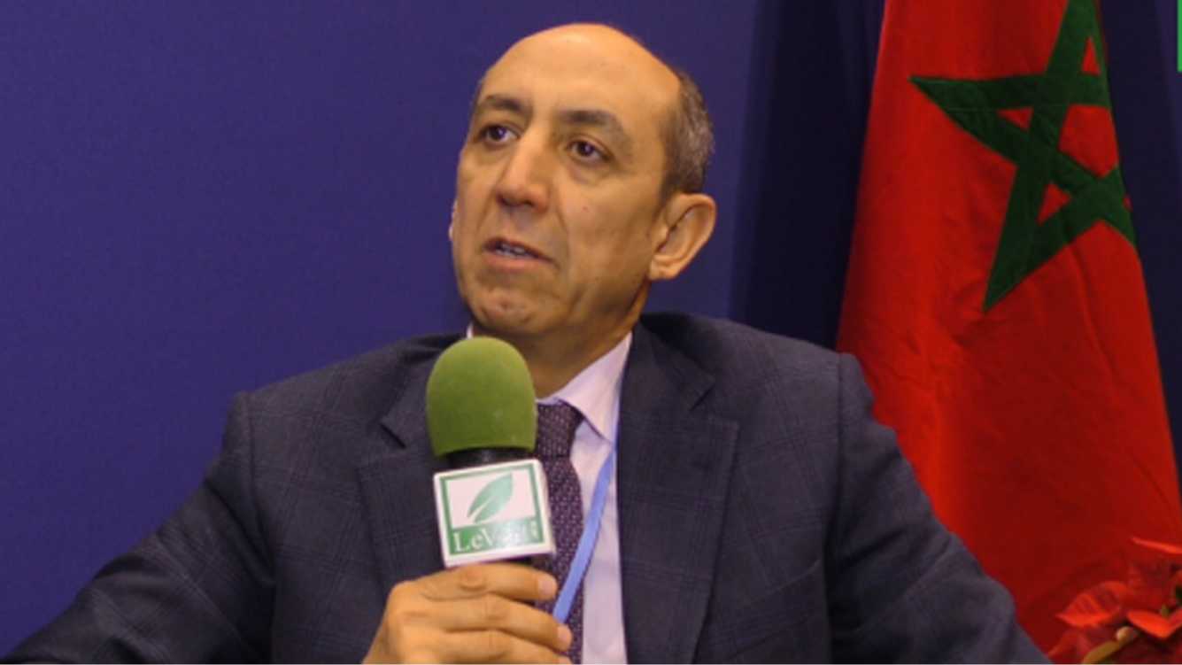 المدير العام من مراكش: الوكالة المغربية للنجاعة الطاقية تعمل على تعزيز ترشيد استهلاك الطاقة