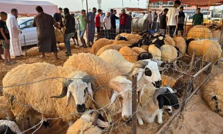 سلطات شيشاوة تُغلق “سوق المواشي” وتُشدد الرقابة تحسباً لعيد الأضحى