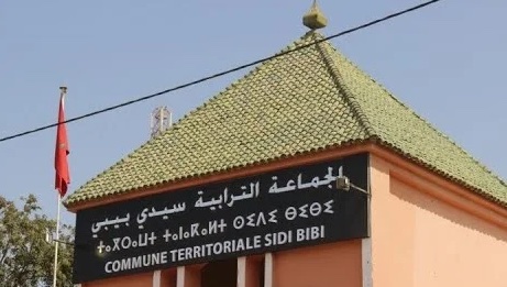 جماعة سيدي بيبي توضح حقيقة حكم قضائي في قضية بطلها “كلب”