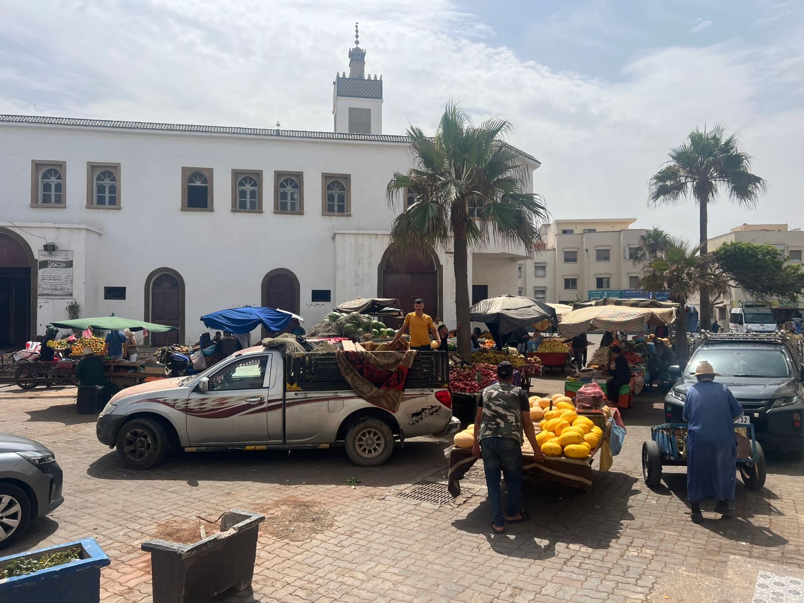 بالصور.. سكان وتجار زنقة الدوحة بالصويرة غاضبون بسبب فوضى العربات المجرورة