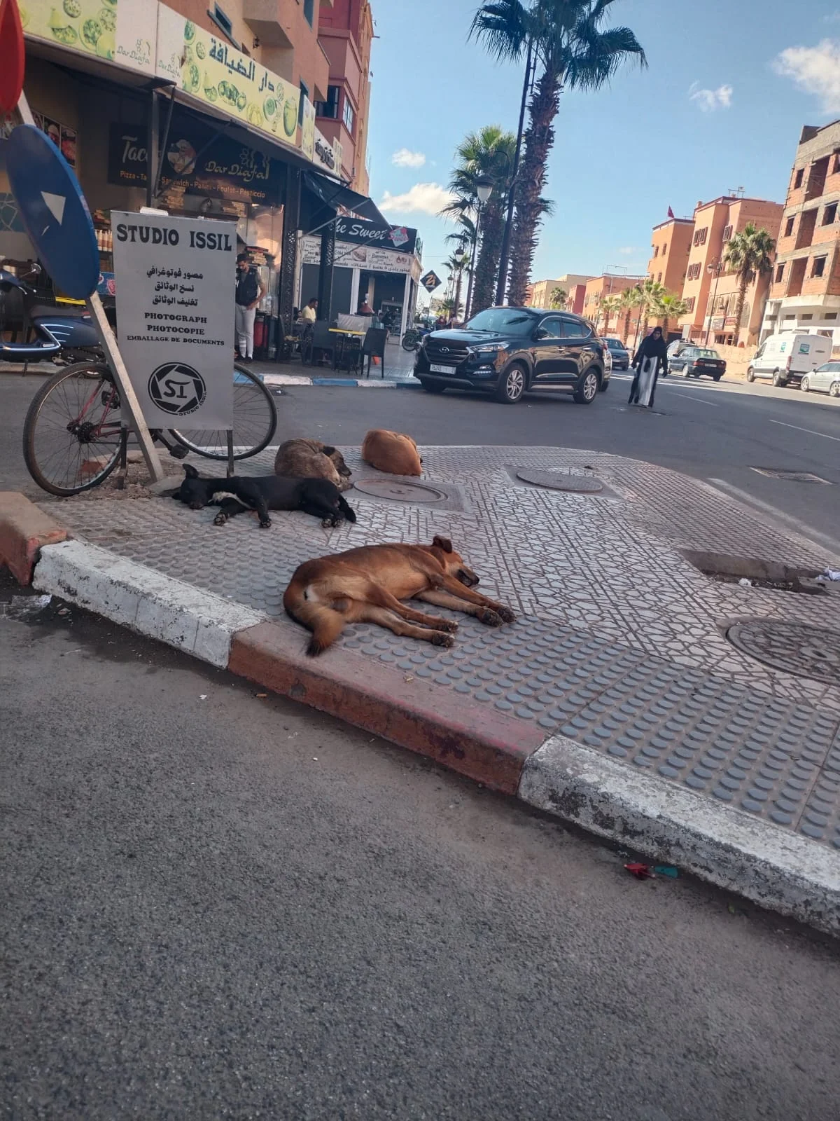 طفل ينجو من هجوم للكلاب الضالة بابن جرير