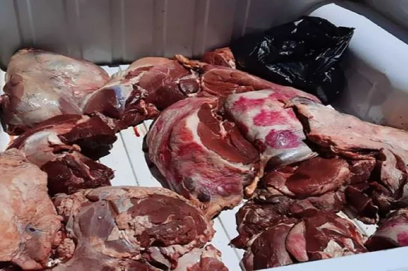 بعد إثارته “البوز”.. لجنة تفتيش تضبط جزارا يبيع لحوما متعفنة برائحة نتنة بأسعار زهيدة