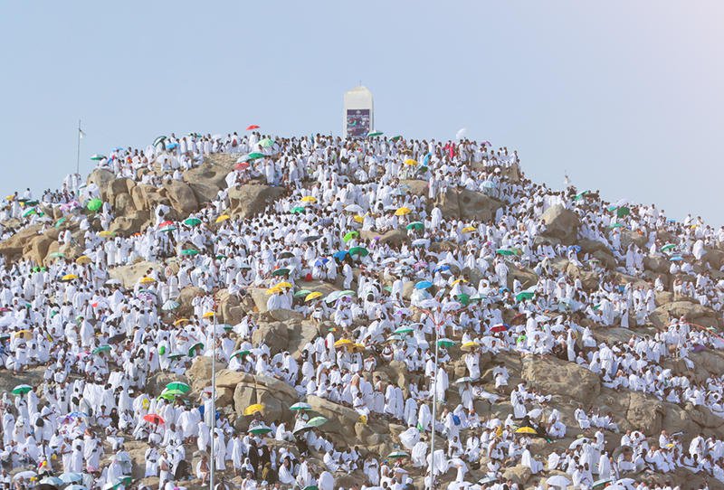 حجاج بيت الله الحرام يواصلون التوافد إلى “عرفات” لأداء ركن الحج الأعظم