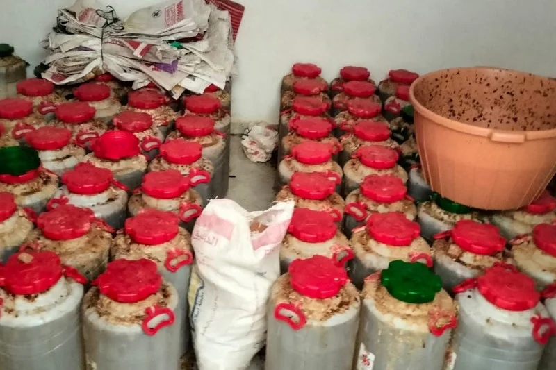 الدرك يداهم معمل سري ويحجز نصف طن من “ماحيا”