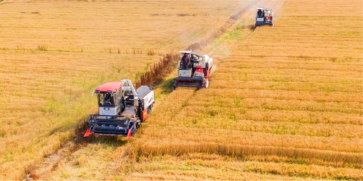 عامل فلاحي يلقى مصرعه داخل آلة حصاد بتيفلت