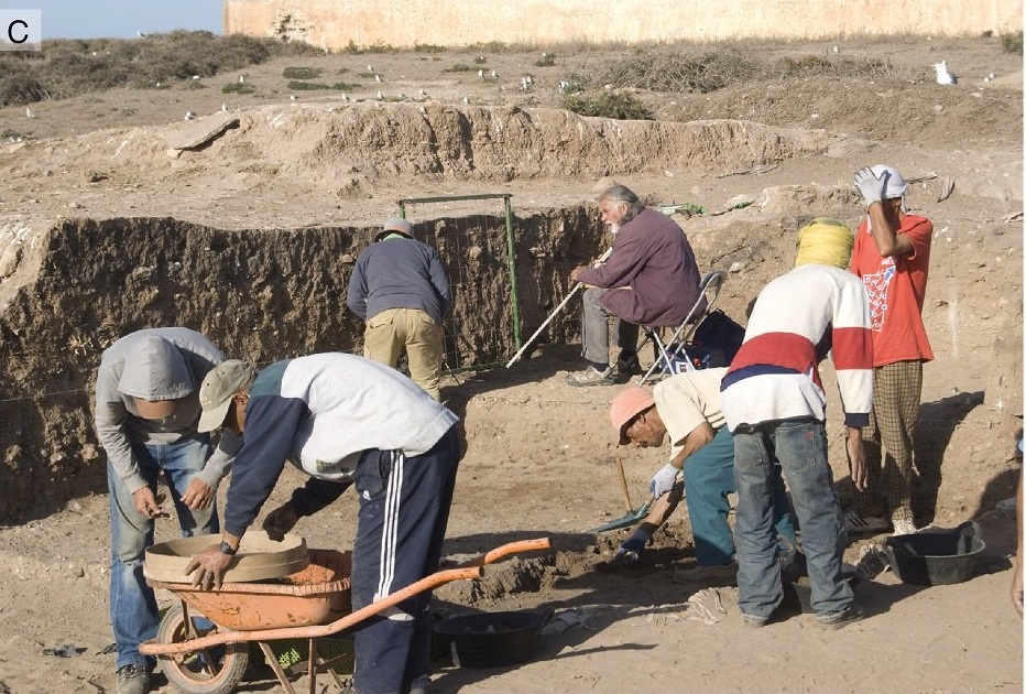 العثور على أحافير بحرية بجزيرة موغادور بالصويرة يسلط الضوء على شبكات التجارة القديمة