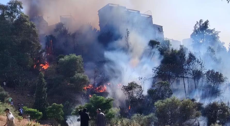 طنجة.. تصاعد ألسنة النيران إثر حريق شب بالقرب من محطة القطار