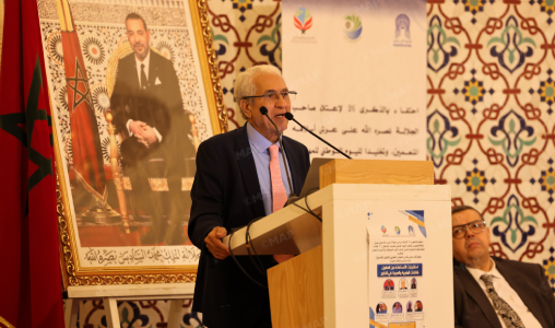 أكاديميون يؤكدون أهمية اعتماد مقاربات مبتكرة للاستفادة من الكفاءات المغربية والعربية المقيمة بالخارج