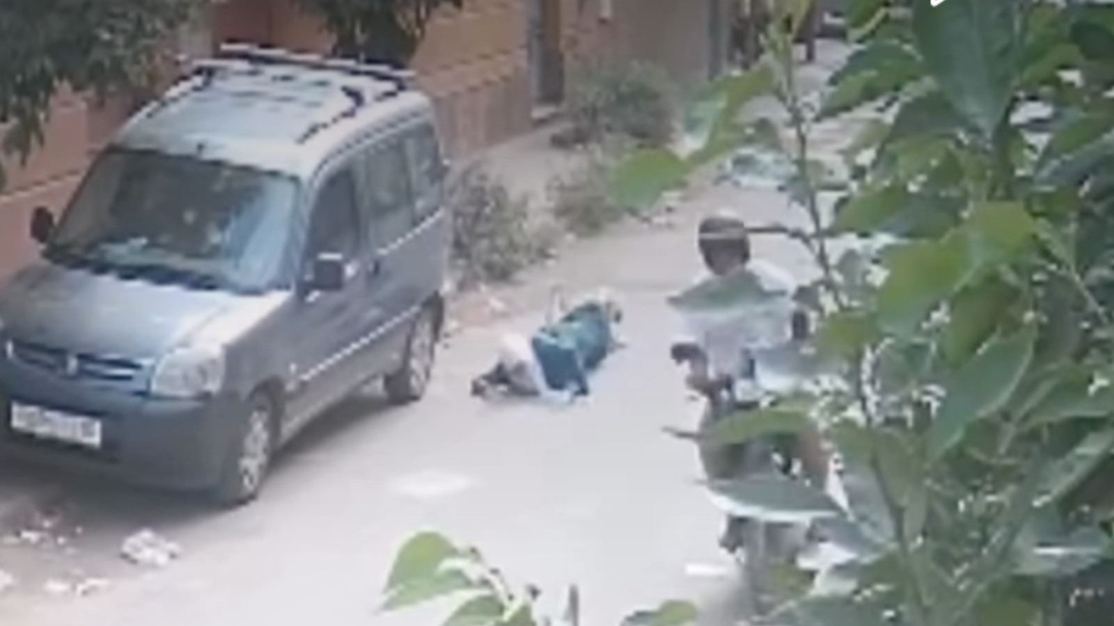 لص “المحاميد” يستمر في نشاطه الإجرامي.. سرقة وكسر كتف سيدة ستينية بتسلطانت