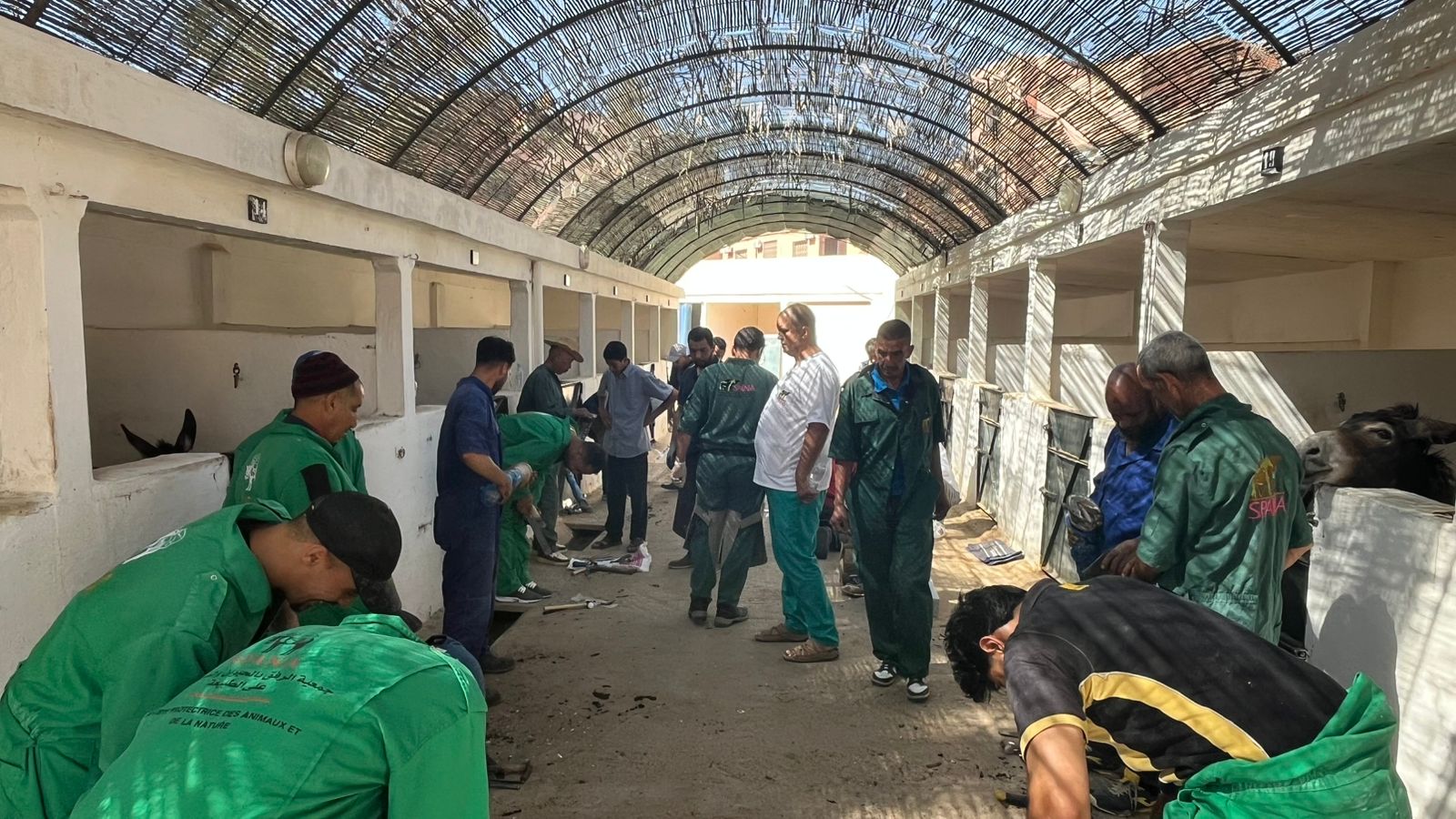 بالفيديو.. SPANA والشركة الملكية لتشجيع الفرس تنظمان ورشة تكوينية حول “الحذاءة العصرية” بمراكش