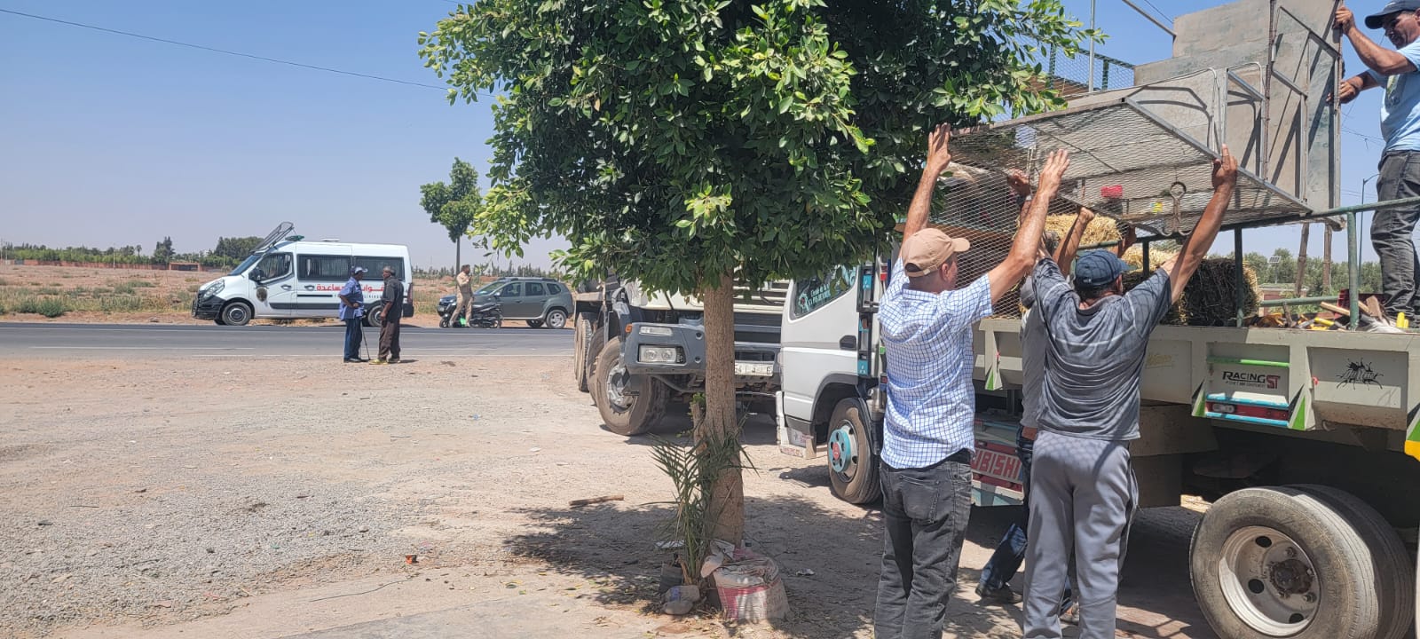 السلطات المحلية تشن حملة واسعة لتحرير الملك العمومي بالشريفية بمراكش