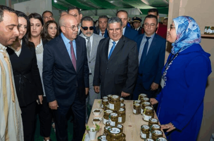 السبع المدير الاقليمي للفلاحة بآسفي: المعرض الوطني للكَبّار حدث محوري لتثمين زراعة مقاومة للجفاف وواعدة