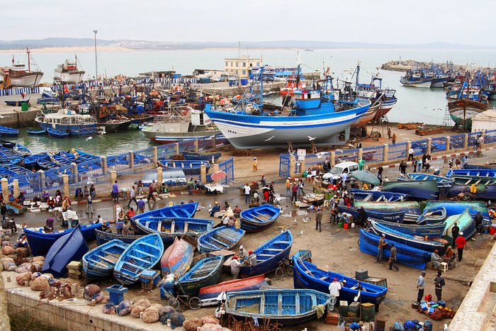 أرباب مراكب الصيد بميناء الصويرة يرفضون “التعاقد المقترح بين المجهّز والبحار” أرباب مراكب الصيد بميناء الصويرة يرفضون “التعاقد المقترح بين المجهّز والبحار”