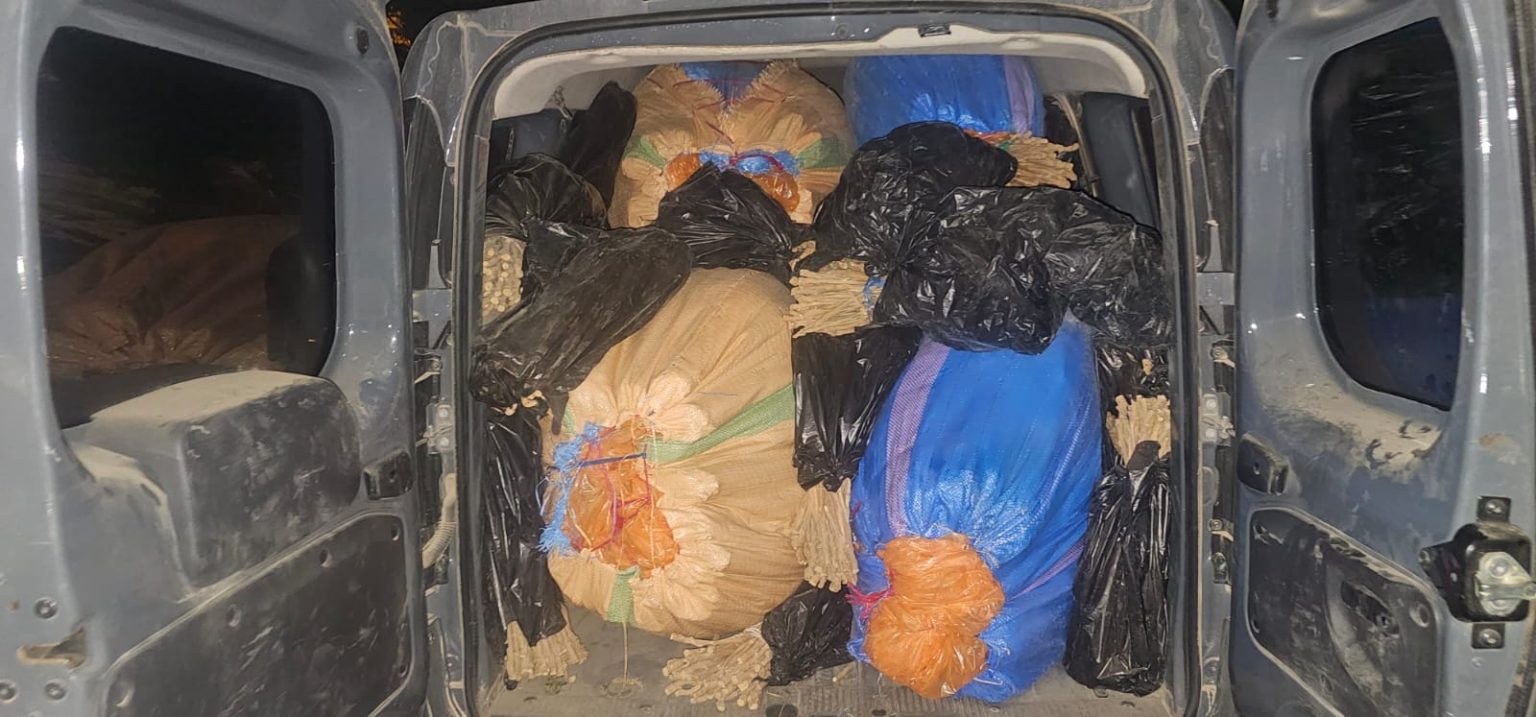 عناصر الدرك بواد امليل تحجز 200 من مخدر الشيرا