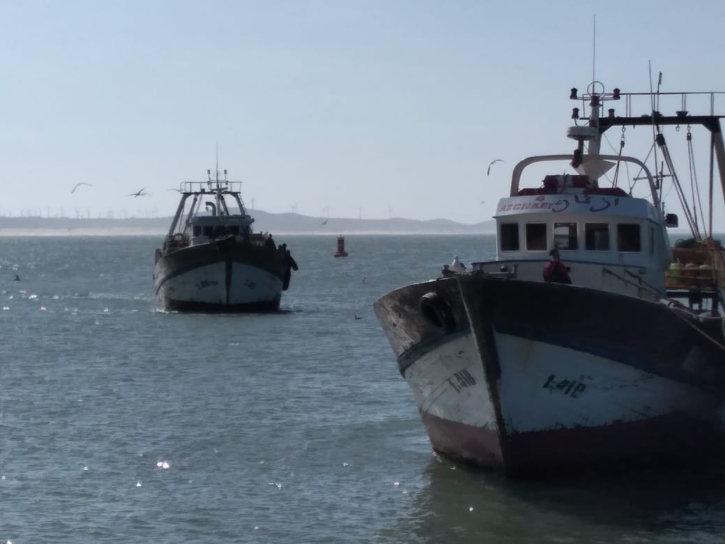 مشروع بمساحة تفوق 7000 متر مربع.. توسعة ميناء الصويرة لتعزيز الدينامية التنموية