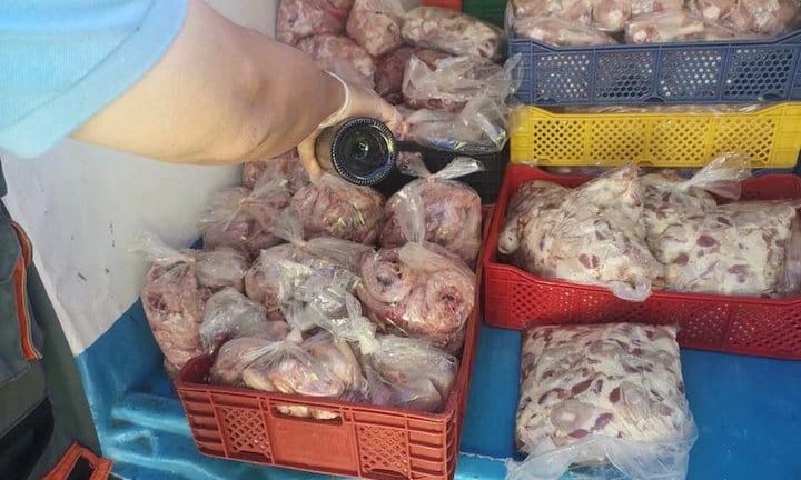 السلطات بالعرائش تحجز كمية كبيرة من لحوم الدجاج الفاسد