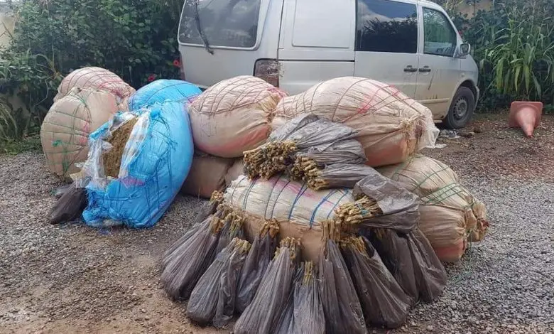 توقيف مهرب مخدرات وحجز 250 كيلوغرامًا من الكيف بإقليم اشتوكة آيت باها