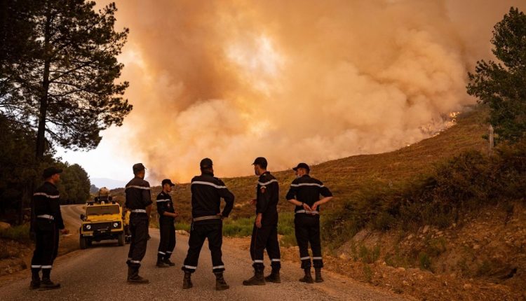 وكالة المياه والغابات تدعو ساكنة جهة طنجة لتوخي الحذر من حرائق الغابات