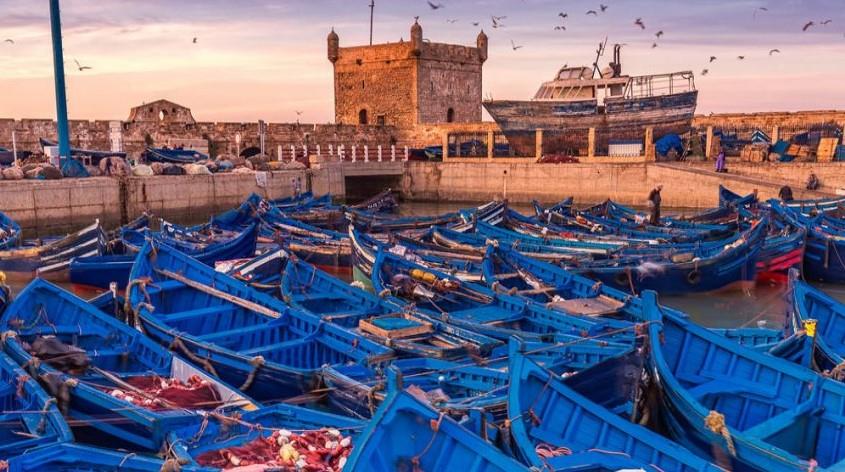 نشاط استثنائي بميناء الصويرة بفضل وفرة المصطادات البحرية