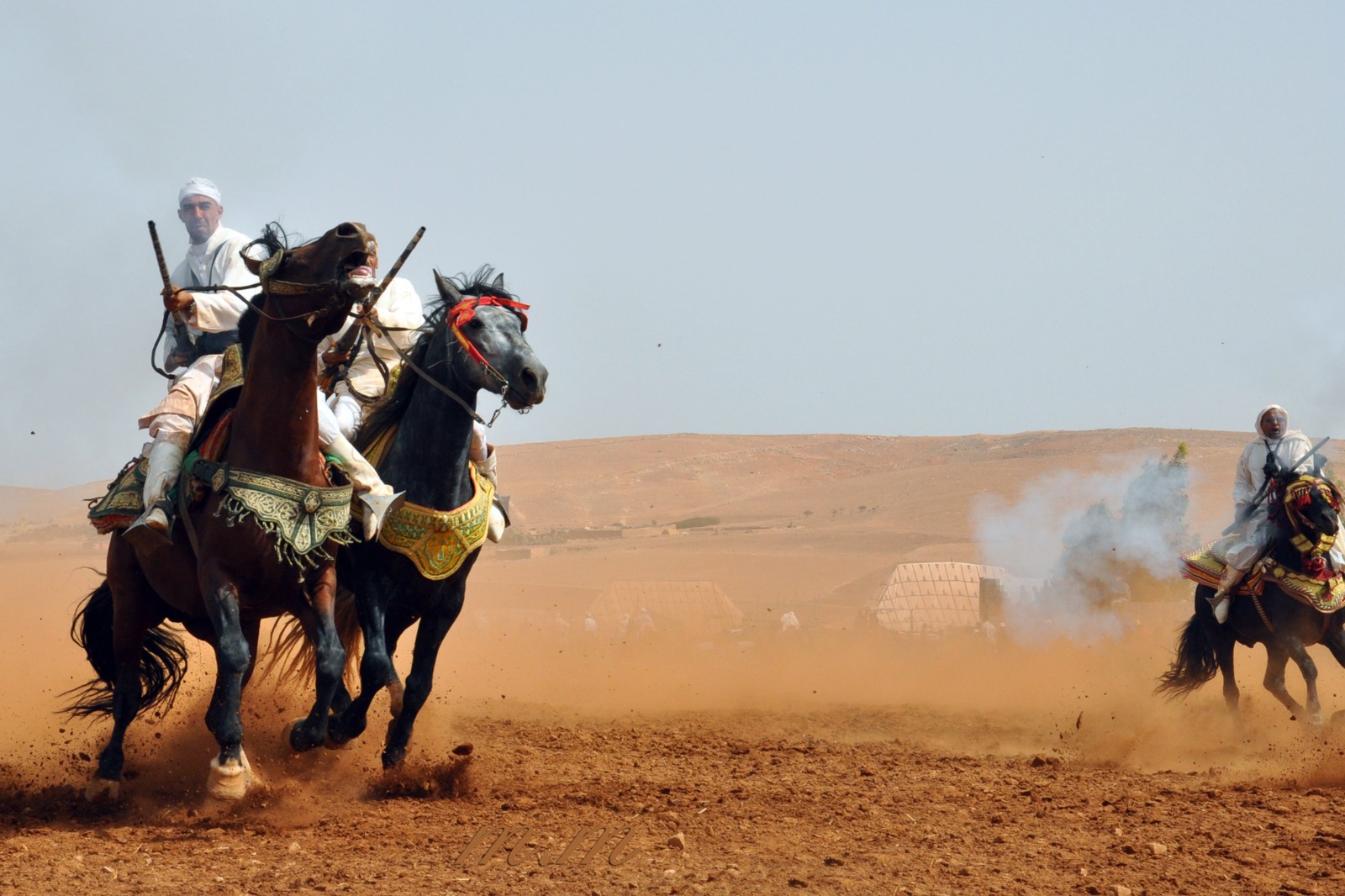 المجلس الجهوي للسياحة بمراكش يطلق علامة “Visit Youssoufia” لترويج السياحة في إقليم اليوسفية