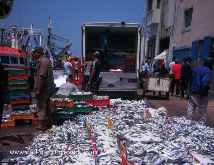 مفرغات الصيد بميناء آسفي تتراجع خلال الربع الأول من 2026