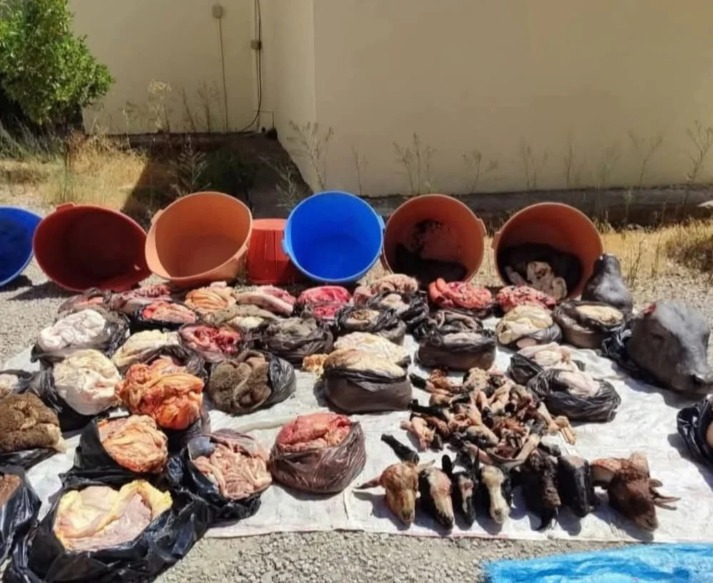 درك تامنصورت يحبط محاولة ترويج لحوم “مذبوحة سرياً” ويحجز شحنة غير صالحة للاستهلاك