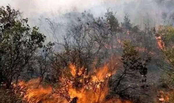 السيطرة على حريق غابة “إمين تكانت” بإقليم شيشاوة