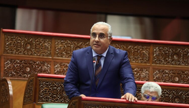 شميس: نجاح البطاقة المهنية للصانع التقليدي رهين برؤية تشاركية وعدالة مجالية شاملة