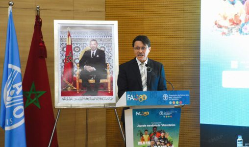 ممثل الفاو: المغرب يتوفر على إمكانات “مهمة” للنهوض بفلاحة مستدامة