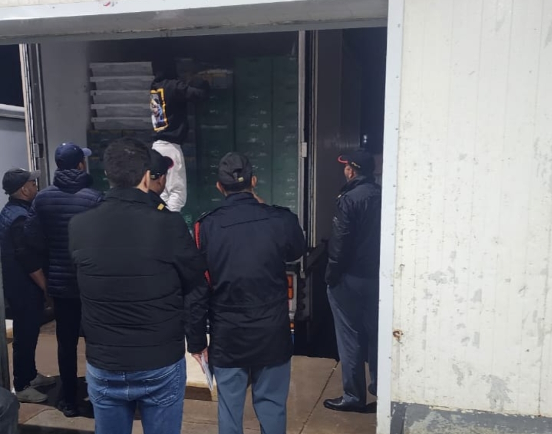 إيقاف أزيد من 9 أشخاص خلال إحباط محاولة تهريب أكثر من 10 أطنان من الأسماك +صور