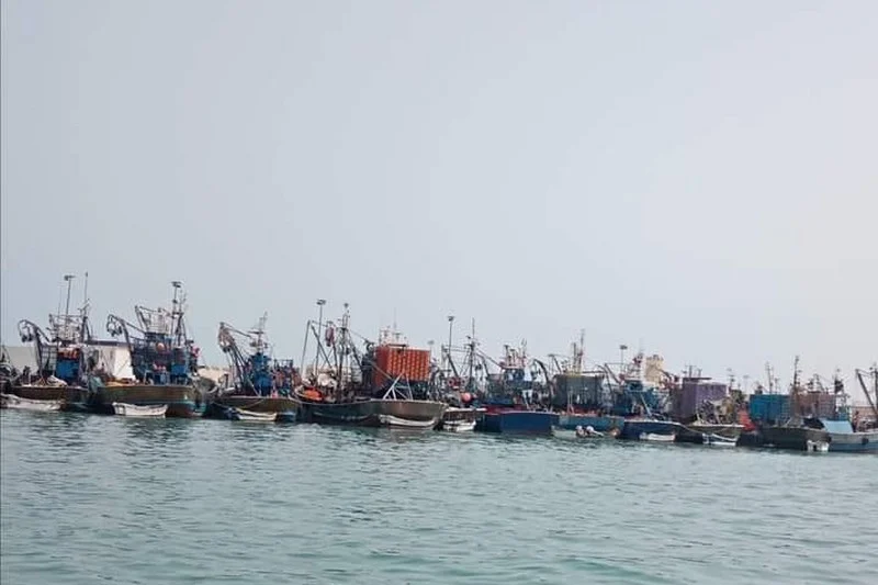 ضبط مركب لصيد السردين متورطا في تعطيل جهاز “VMS”