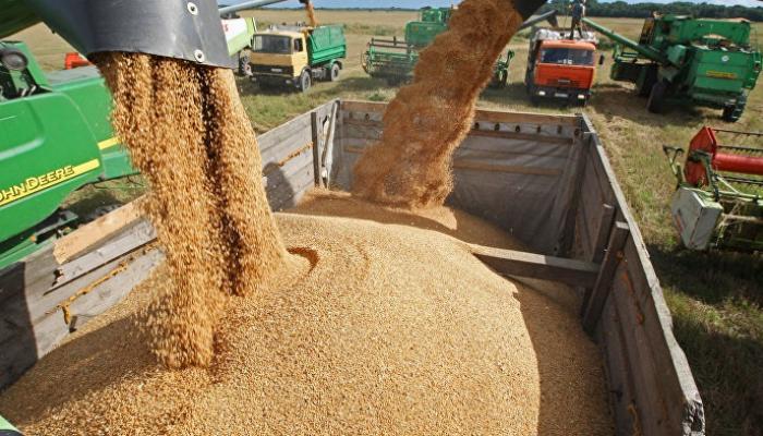 واردات الحبوب ترتفع إلى 99 مليون قنطار خلال موسم 2025/2024