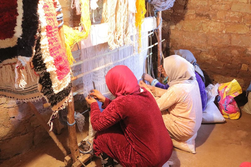اليوم العالمي للمرأة القروية.. قلعة السراغنة تحتضن ملتقى حول التنمية والابتكار الاجتماعي
