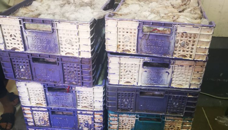 إيقاف خمسيني متلبسا بتهريب أزيد من طن من الأسماك بميناء الداخلة