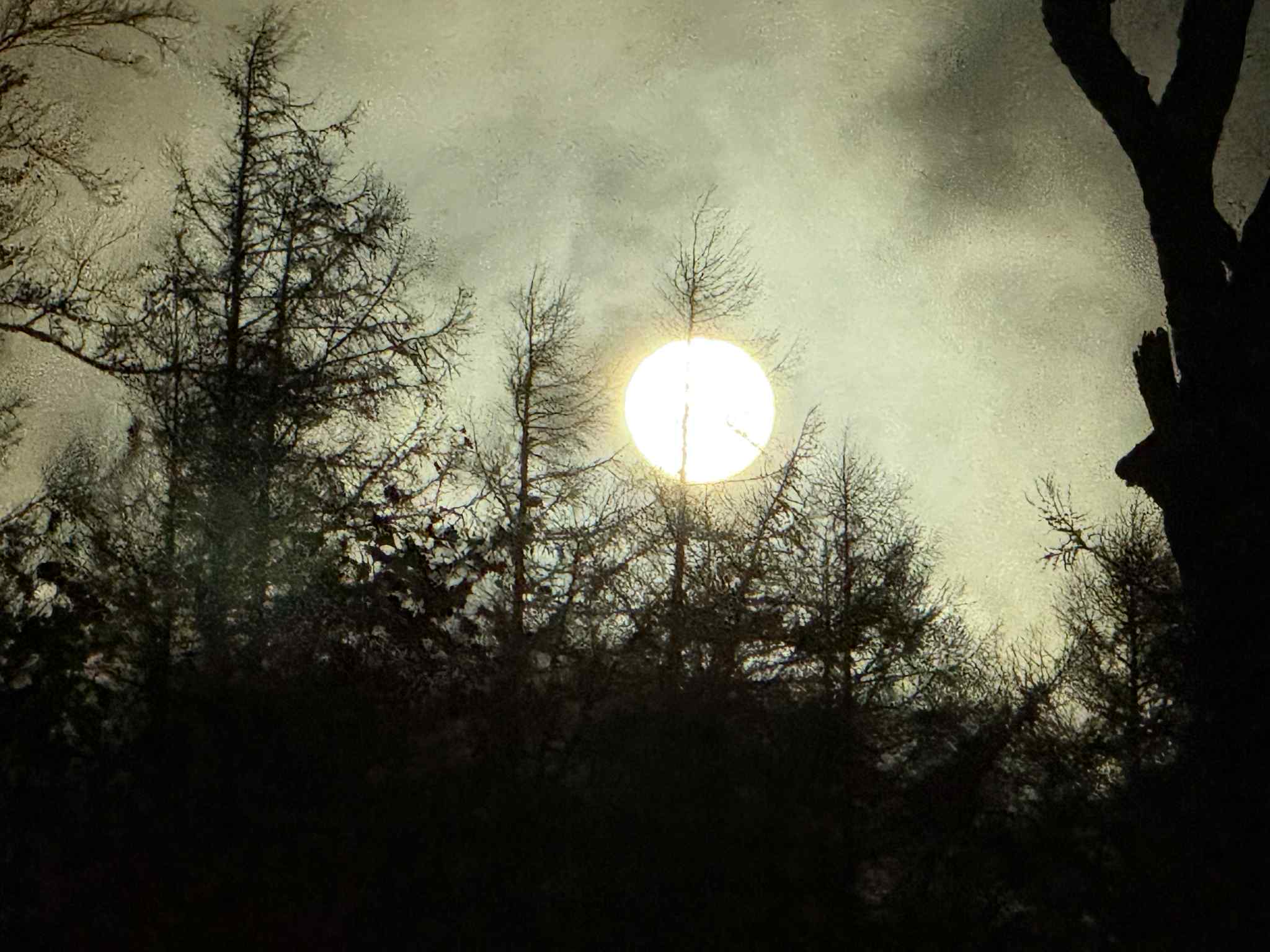 القمر العملاق يضيء سماء العالم