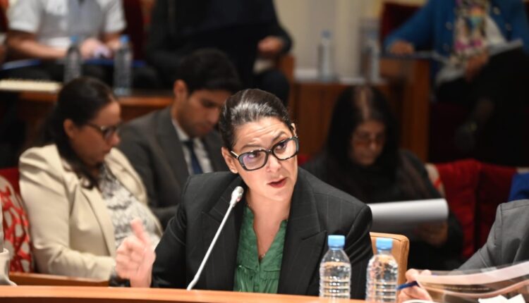 مالية 2026.. الوزيرة المنصوري تكشف عن مستجدات برنامج “دعم السكن” واَخر إحصائياته