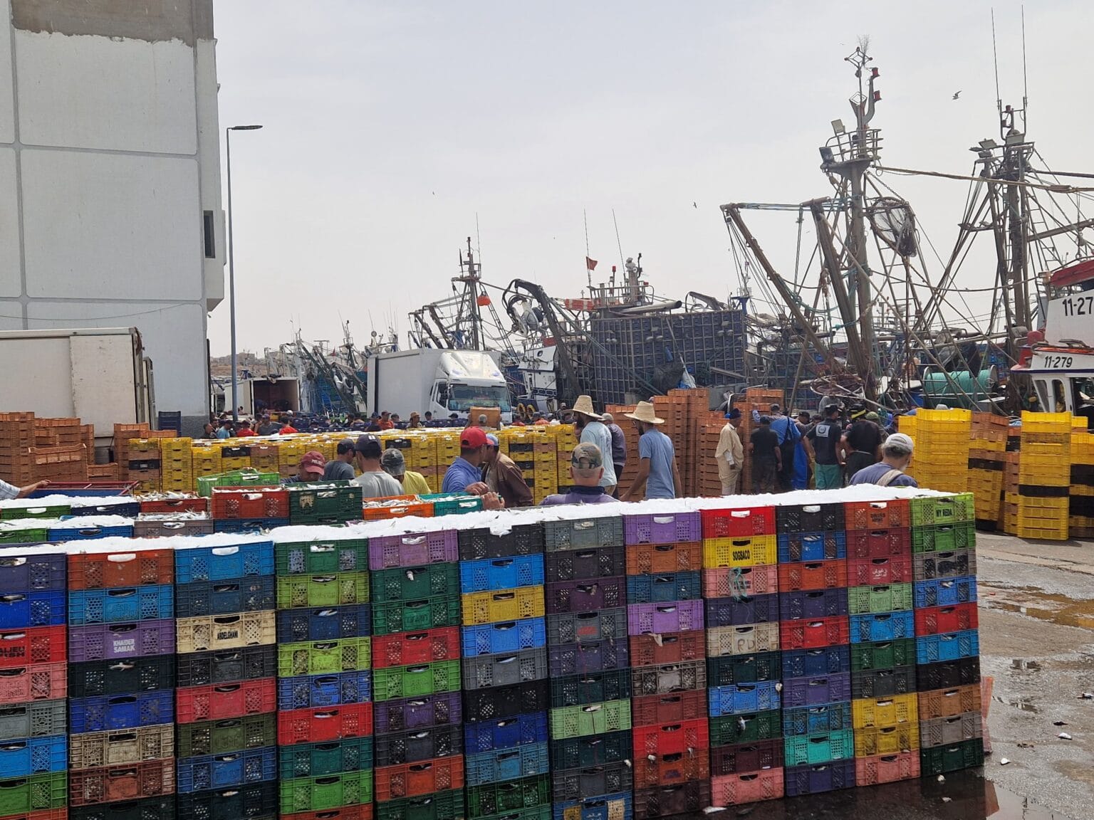 ميناء آسفي يستقبل حوالي 400 طن من الأسماك السطحية معظمها من السردين