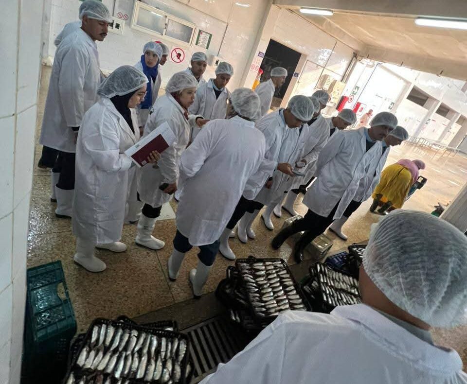 التكوين التطبيقي.. طلبة معهد تكنولوجيا الصيد البحري بآسفي يزورون الشركة العالمية للتصبير