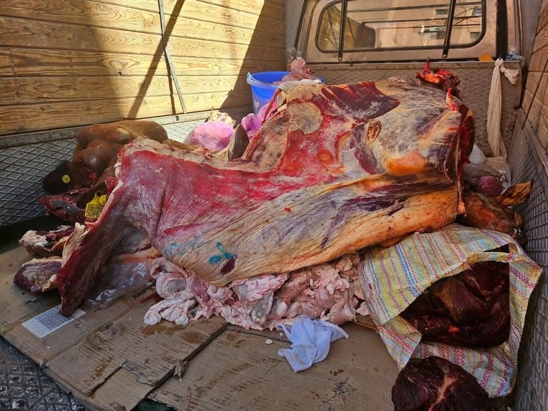 كانت في طريقها لمحلات الأكلات السريعة.. حجز لحوم فاسدة بحي المسيرة بمراكش +صور