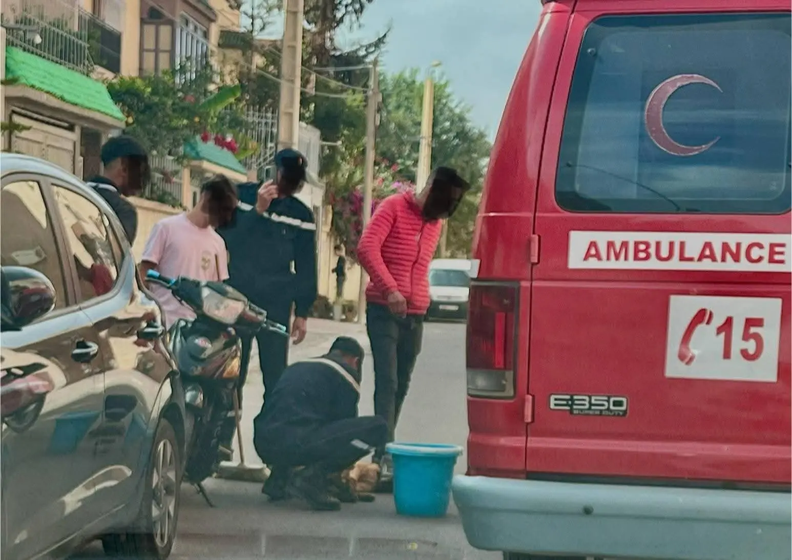 هجوم كلب ضال يتسبب في إصابة امرأة وفتاة بتزنيت