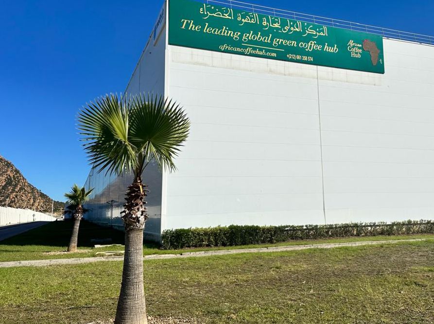 المغرب يصبح البوابة العالمية للقهوة الإفريقية.. إطلاق أول “African Coffee Hub” في طنجة المتوسط