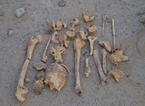 اكتشاف بقايا عظام بشرية خلال أشغال تهيئة طريق بأيت إيمور ضواحي مراكش