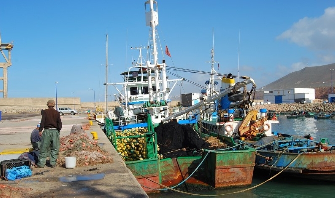 أمن ميناء الداخلة يوقف شخصاً بحوزته أكثر من طن من الأسماك المهربة