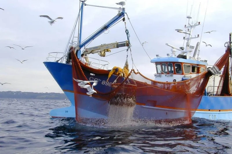 مفوضية الاتحاد الأوروبي توافق على إطلاق مفاوضات جديدة لاتفاقية الصيد البحري مع المغرب