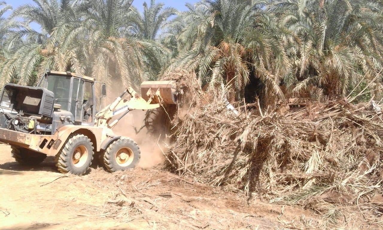 8 قتلى و9 جرحى بسبب نزاع على أرض زراعية